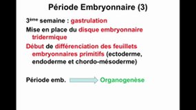 PACES_UE2-C4 Embryologie généralités - Segmentation