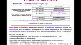 L2SPS_UE3.S3-B2 Enzymologie (Part II)_J. COUPRIE