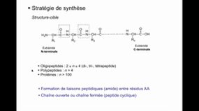 L1 SPS_UE10.S2-A12 Synthèse peptidique