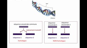 PACES_UEsp TC1-B8 Génomique - Comparaison génomique