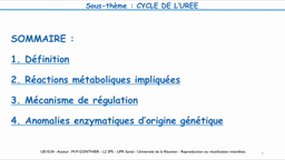 L2 SPS_UE10.S4-A2 Cycle de l'urée