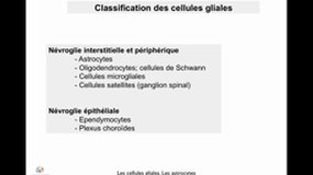 PACES_UE2-B44 Les tissus nerveux (4)_B. BLOCH