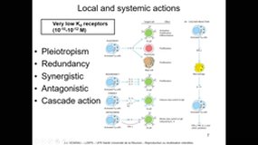 L2SPS_UE7.S4-D2 Cytokines, Chimiokines & Facteurs de croissance