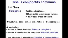 PACES_UE2-B23 Les tissus conjonctifs (4)_J-P. MERLIO