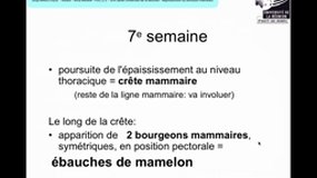PACES_PACES_UEsp MAIEUTIQUE-B16 Anatomie sein_A. BIRSAN
