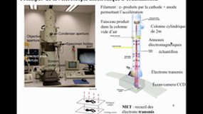 PACES_UE2-A4 Méthodes d'observations microscopiques (3)