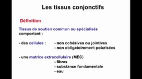 PACES_UE2-B18 Les tissus conjonctifs (1)_J-P. MERLIO