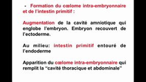 PACES_UE2-C7 Embryologie - Délimitation