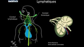 PACES_UEsp ODONTOLOGIE-A10 Lymphatiques de la tête et du cou_P. GUERIN