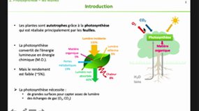 CM BV_2-Photosynthèse partie1