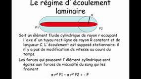 PACES_UE3B-B28 Dynamique des fluides - Ecoulements (3)_D. VANDROUX