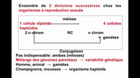 PACES_UE2-C1 Biologie de la reproduction - Méiose
