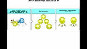 M1BS_UE9.S2-A14 Réponse immune adaptative (5)