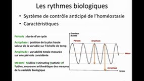 D.E. INFIRMIER_UE2.2-C13 Rythmes biologiques, chronobiologie