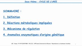 PACES_UE1-C5 Biochimie structurale et métabolique - Cycle de l'urée
