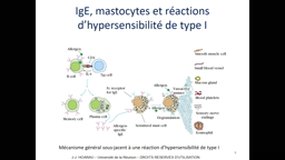 M1BS_UE9.S2-B6 Les réactions d'hypersensibilités
