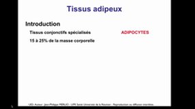 PACES_UE2-B25 Les tissus adipeux (1)_J-P. MERLIO