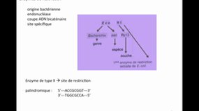 PACES_UEsp TC1-B1 Techniques ADN recombiné - Manipulation acide nucléique