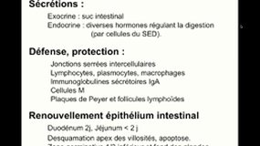 DFGSM3_UE8-6.S6 Système digestif - Intestin grêle_P. DUBUS