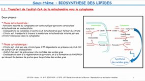 L2 SPS_UE10.S4-B3 Biochimie structurale et métabolique_Biosynthèse des lipides