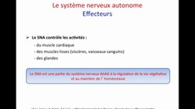 PACES_UE5-A23 Le système nerveux autonome