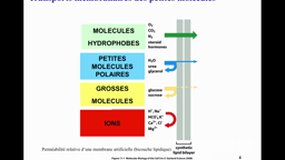 PACES_UE2-A15 Fonctions membranaires et communication cellulaire (1)