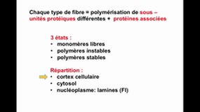 PACES_UE2-A34 Le Cytosquelette - Généralités microtubules