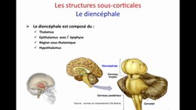 PACES_UE5-A17 Les structures sous-corticales (1)