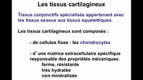PACES_UE2-B28 Les tissus cartilagineux (1)_P. DUBUS