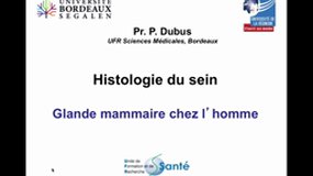 PACES_UEsp TC1-A37 Histologie du sein (3)_P. DUBUS