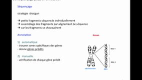 PACES_UEsp TC1-B7 Génomique - Annotation du génome