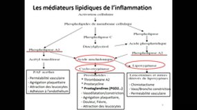 M1BS_UE9.S2-B8 Anti-inflammatoires