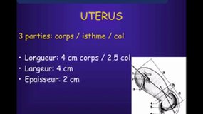 PACES_UEsp MAIEUTIQUE-B12 Anatomie - Utérus et trompes_A. BIRSAN