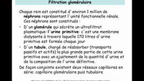 PACES_UE3B-B7 Filtration glomérulaire (2)_D. VANDROUX