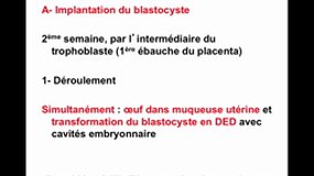 PACES_UE2-C5 Embryologie - Implantation
