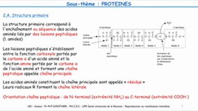 PACES_UE1-C2 Biochimie strcturale et métabolique_Protéines