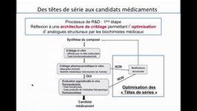 PACES_UE6-C4 Pharmacomodulation - Optimisation - Candidat Medicament_A. GUERIN-DUBOURG
