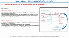 PACES_UE1-C10 Biochimie structurale et métabolique - Biosynthèse des lipides