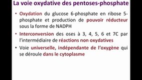 L1 SPS_UE10.S2-A7 Voie de pentoses-phosphate