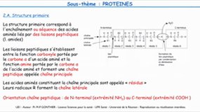 L1 SPS_UE1.S1-C2 Biochimie structurale - Protéines