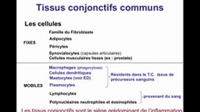 PACES_UE2-B22 Les tissus conjonctifs (3)_J-P. MERLIO