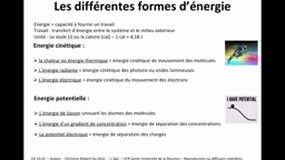 L1 SPS_UE10.S2-A1 Bioénergétique